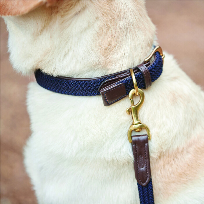 Weatherbeeta Leather Plaited Dog Collar - Brown / Navy